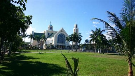 hotels near penafrancia basilica|Naga Hotels near Basilica of the Nuestra Senora de Penafrancia.